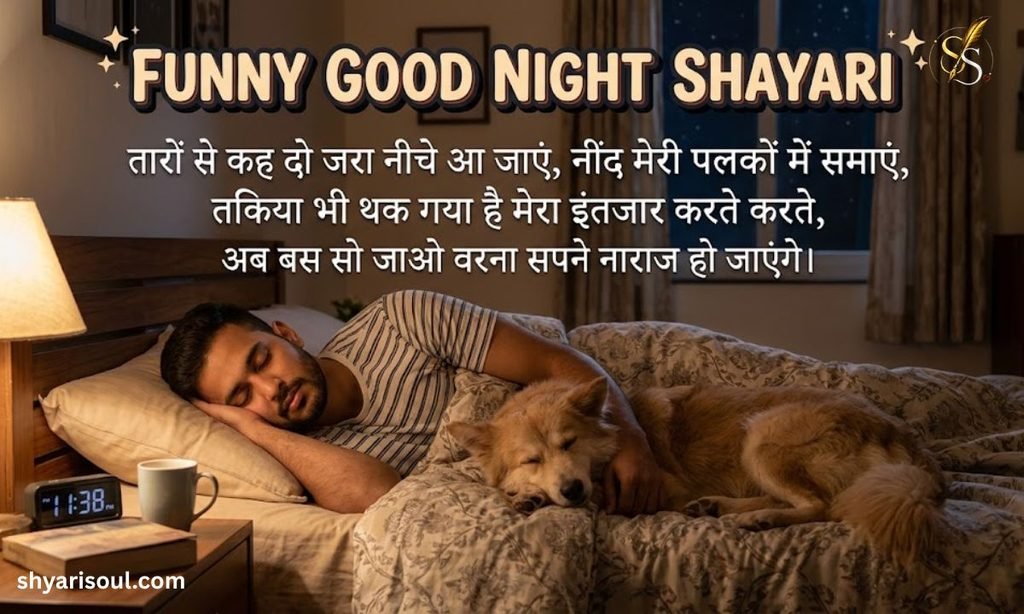Funny Good Night Shayari
